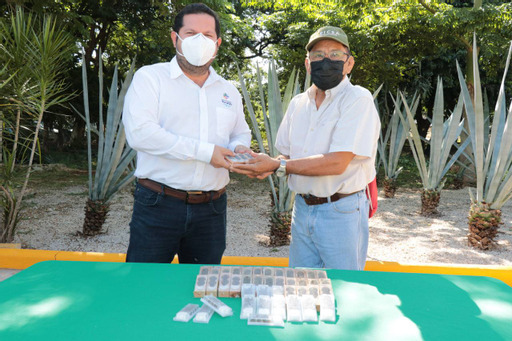 Con la entrega de abejas reina, apicultores yucatecos mejoran su producción