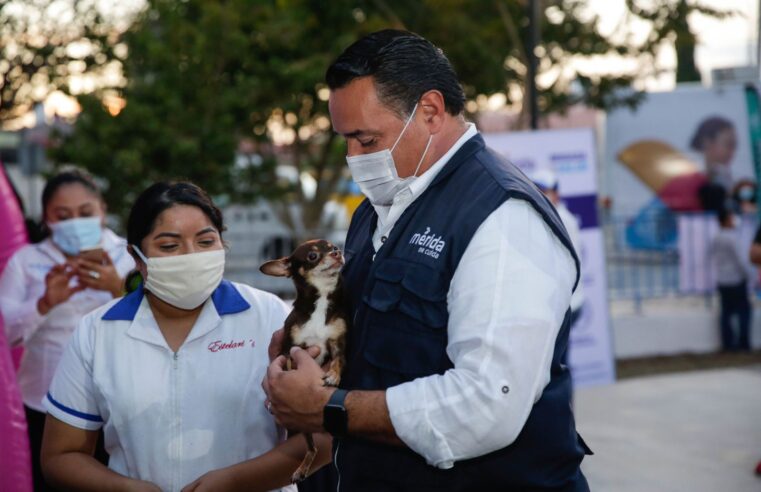Más acciones por el bienestar animal y la tenencia responsable en Mérida