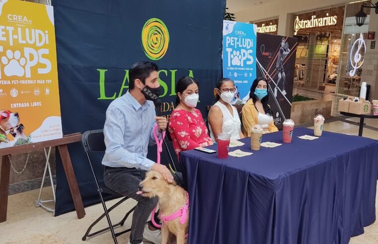 Feria Pet-LudiTops promueve la adopción responsable de animales de compañía