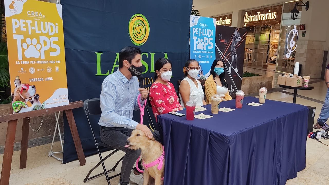 Feria Pet-LudiTops promueve la adopción responsable de animales de compañía