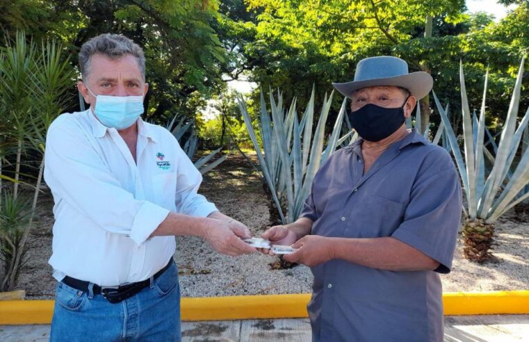 Con el apoyo de Vila, apicultores aumentan el valor agregado de la miel yucateca