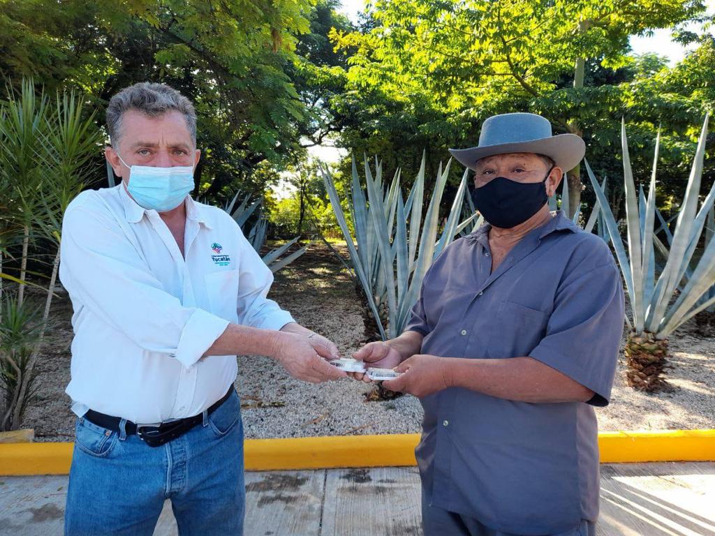 Con el apoyo de Vila, apicultores aumentan el valor agregado de la miel yucateca