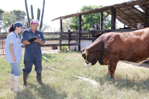 Veterinario en tu Rancho, impulso para pequeños productores ganaderos