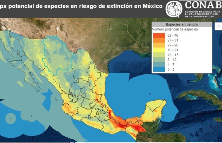 Extinción actual de especies, como en los tiempos geológicos