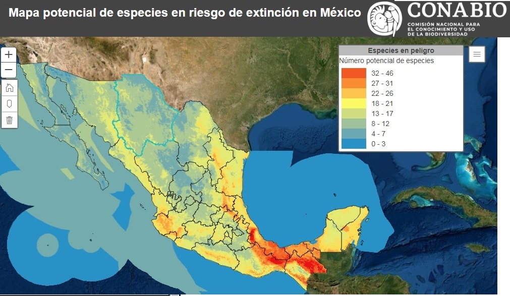 Extinción actual de especies, como en los tiempos geológicos