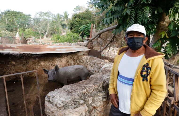 Con “Circulo 47”, se impulsa a productores de las comisarías de Mérida