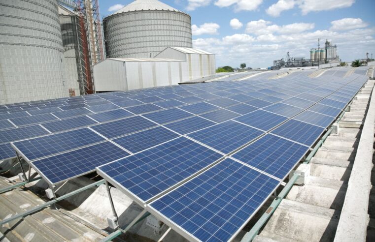 Ayuntamiento mantiene estímulos por acciones contra el cambio climático