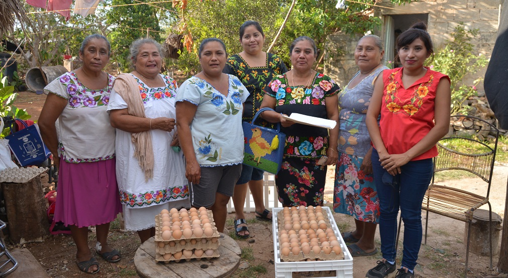 Toks vuelve a vender en sus restaurantes de Mérida huevo de gallina libre de jaula