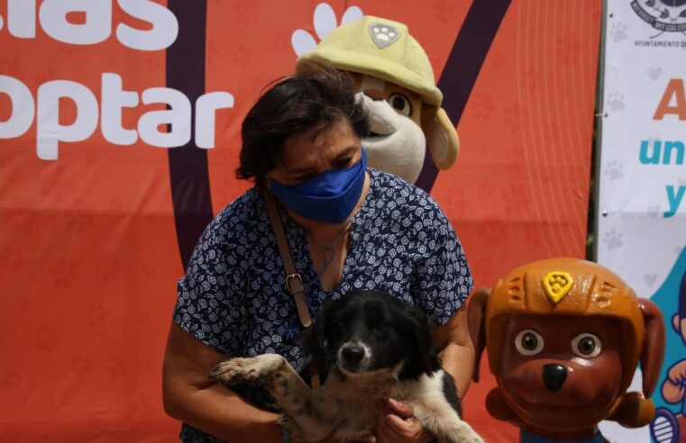 Sesiona el Consejo Consultivo de Protección a la Fauna de Mérida