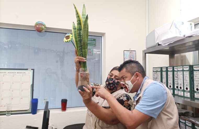 Evitan el ‘covi-dengue’ en el Centro de Convenciones Yucatán Siglo XXI