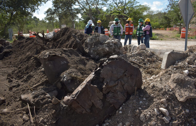 Tren Maya salda deuda de más de 20 años con el medio ambiente
