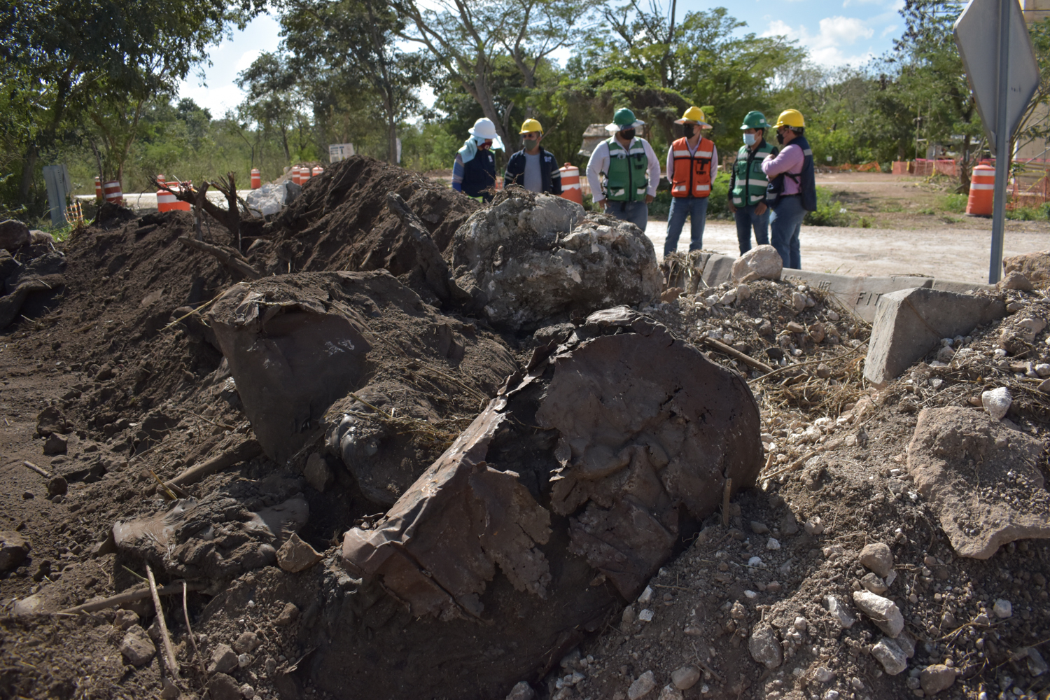 Tren Maya salda deuda de más de 20 años con el medio ambiente