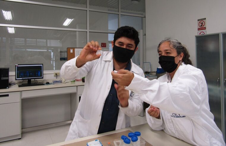 El CICY abre registro de inscripción a sus posgrados