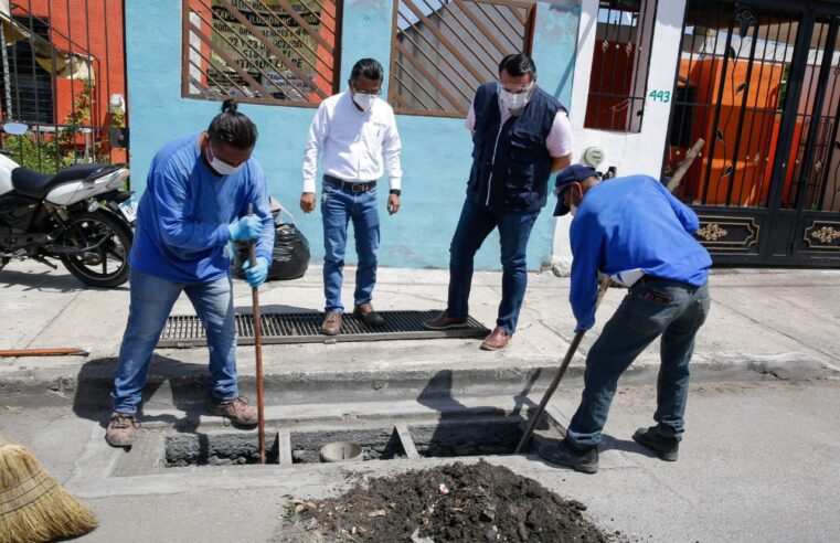 El Ayuntamiento de Mérida implementa brigadas especiales