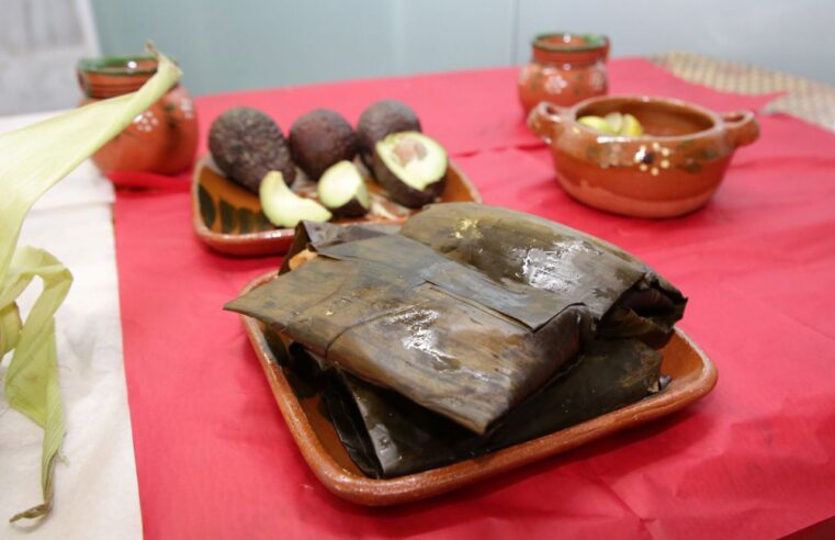 Por el Covid-19, recomienda el IMSS no hacer tamalizas en la Candelaria