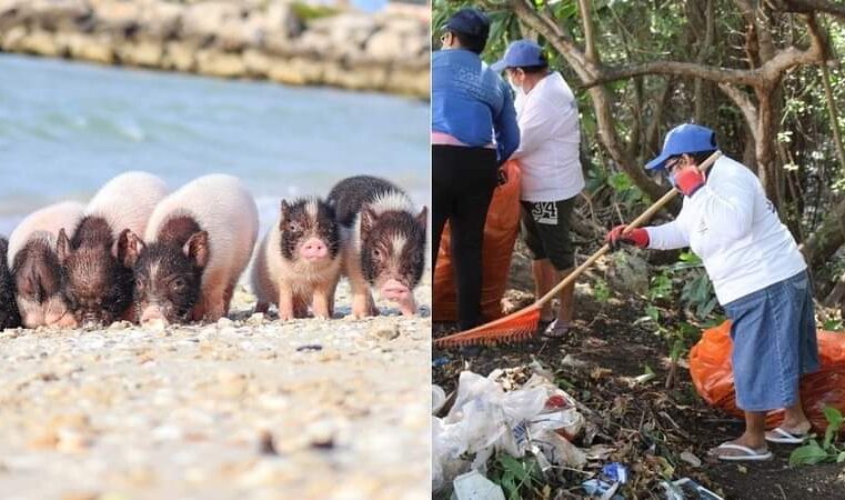 En Progreso, Zacarías atiende mejor a los cerdos que a sys empleados municipales