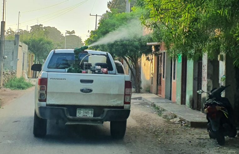 Fumigarán en Las Américas por plaga de moscos de monte