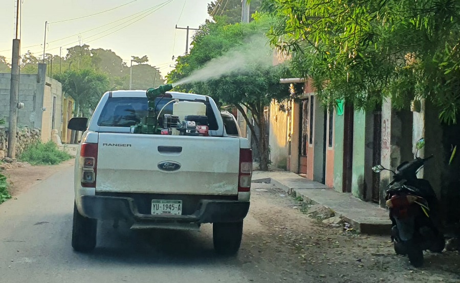 Fumigarán en Las Américas por plaga de moscos de monte