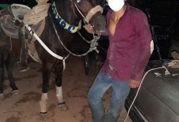 Ayuntamiento de Kanasín, cómplice en la tragedia de sangriento torneo de lazo