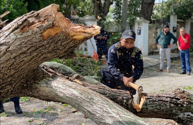 Continúan buenos resultados en seguridad para Yucatán