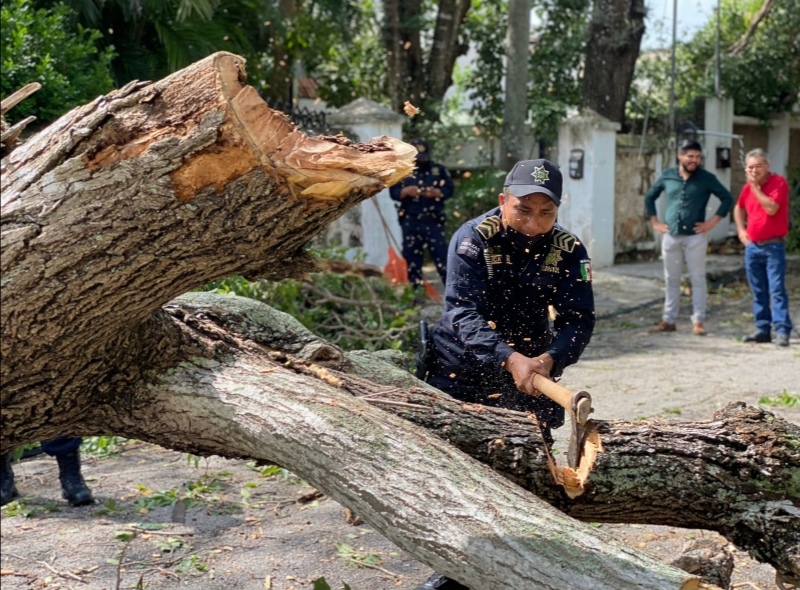 Continúan buenos resultados en seguridad para Yucatán