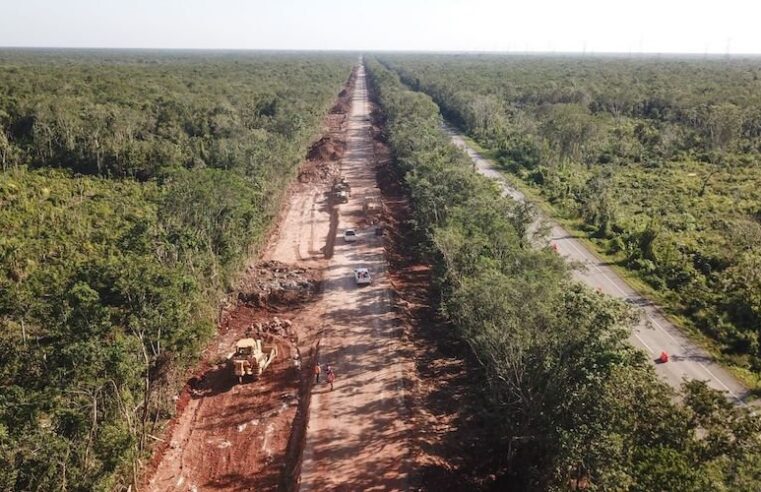 Juez de Yucatán suspende obras del Tren Maya en el tramo Playa del Carmen-Tulum