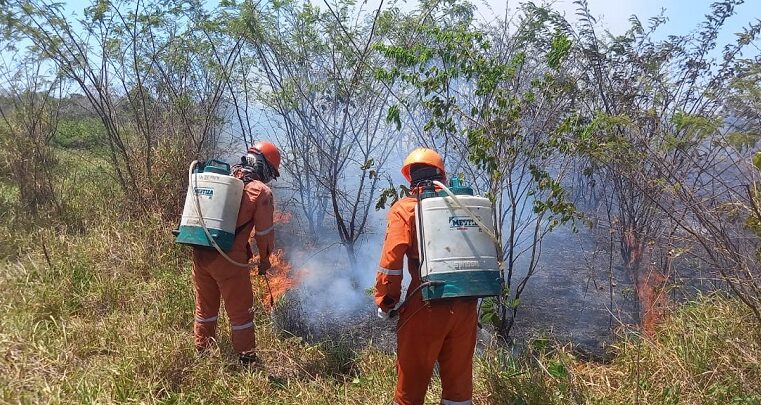 Las vacaciones ponen los incendios a la orden del día en Yucatán
