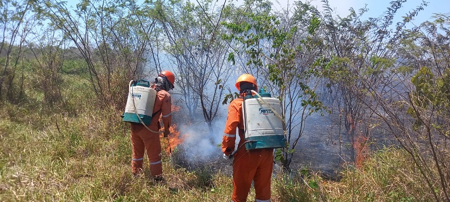 Las vacaciones ponen los incendios a la orden del día en Yucatán