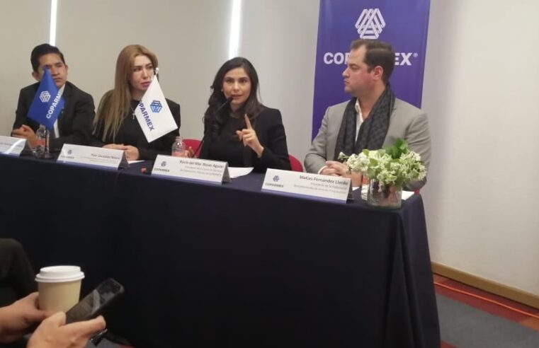 Empresaria yucateca es la nueva presidenta nacional de Coparmex Jóvenes