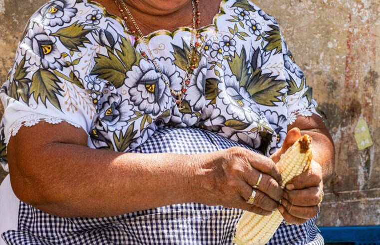 El Ayuntamiento de Mérida presentará el festival “Pueblos del Maíz 2022”