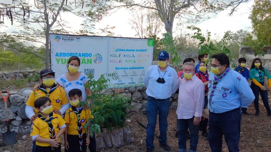 En marcha una cruzada de reforestación para preservar las abejas meliponas