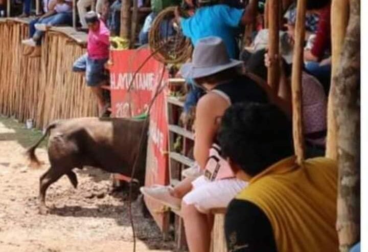 Se escapa un toro en la fiesta de Chumayel
