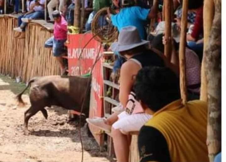 Se escapa un toro en la fiesta de Chumayel