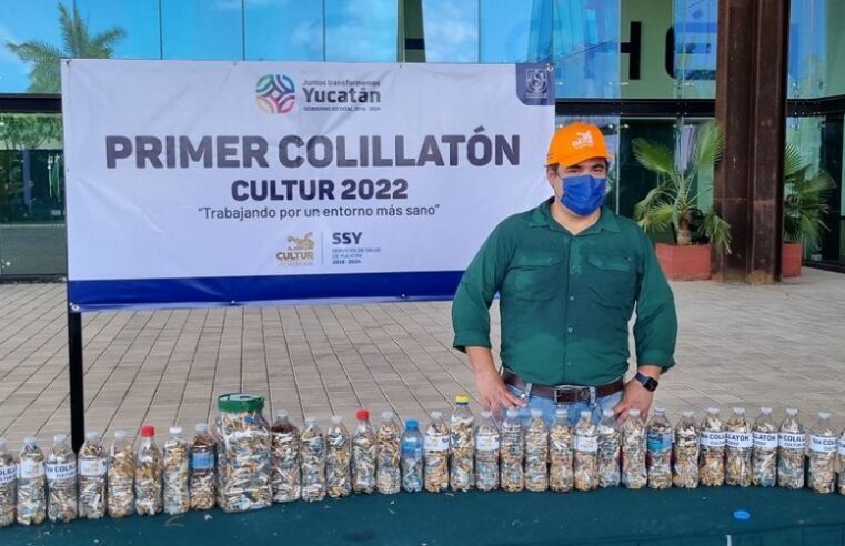 Convertirán en una obra de arte las colillas de cigarro que recolectó Cultur