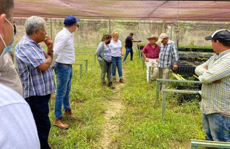 El CICY impulsa un proyecto sobre plantas de café élite en Guerrero