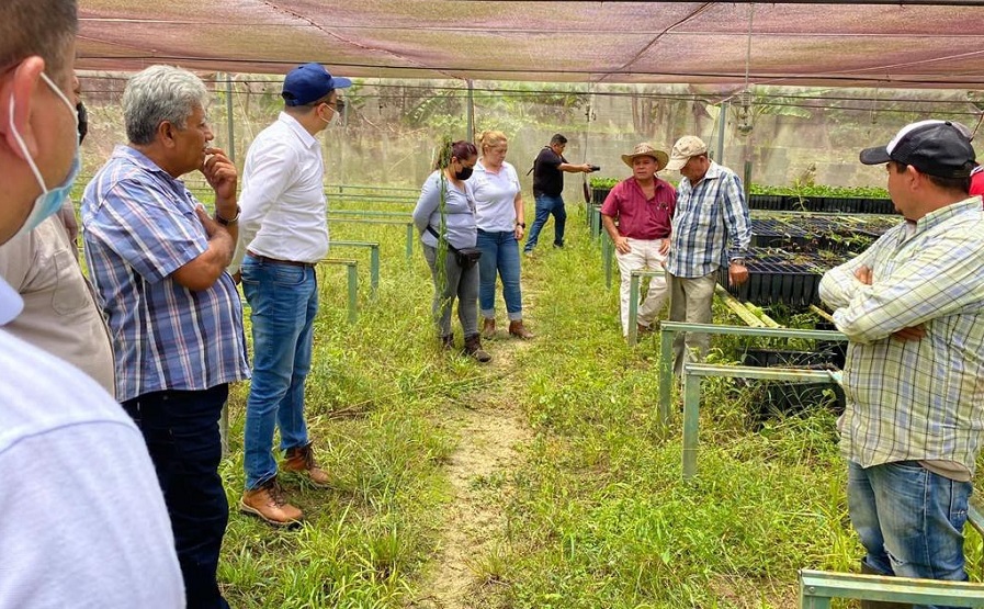 El CICY impulsa un proyecto sobre plantas de café élite en Guerrero