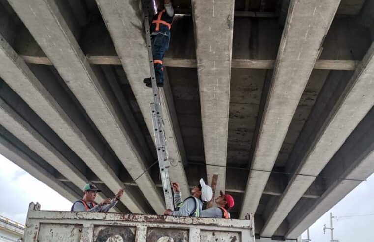 Concluye mantenimiento al puente de Caucel, en el Periférico