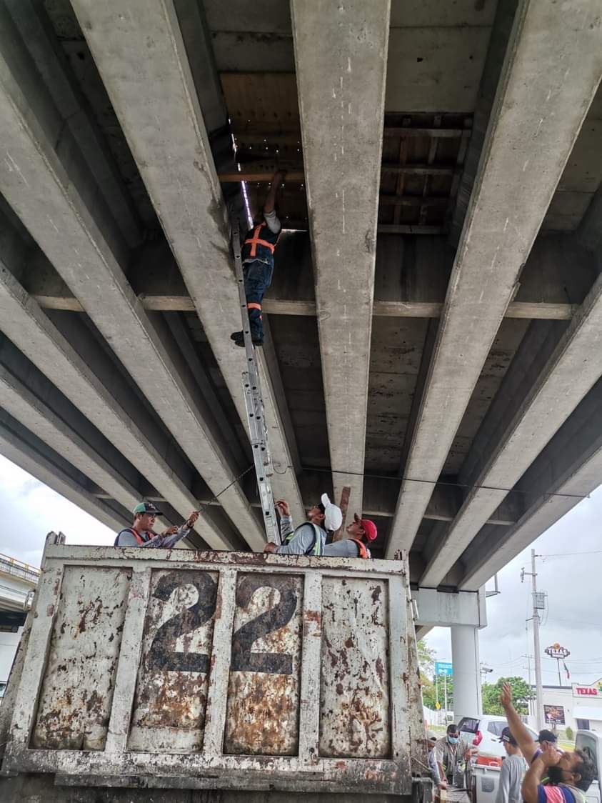 Concluye mantenimiento al puente de Caucel, en el Periférico