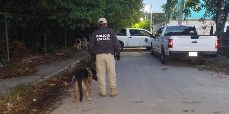 Hallan «coctel de drogas» en cateo antinarcóticos en Progreso