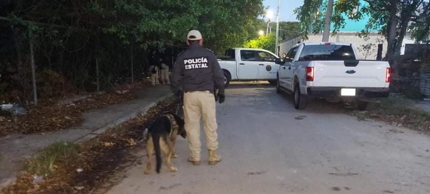 Hallan «coctel de drogas» en cateo antinarcóticos en Progreso