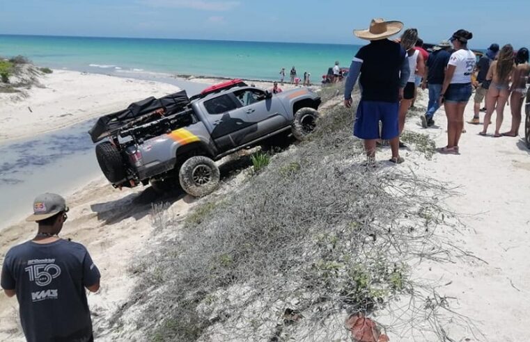 Xplora México  graba video en Las Coloradas y destruye nidos de tortugas
