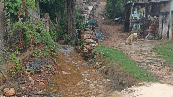 Aparece «La Bomborota» luego de varios días de lluvia en el sur de Yucatán