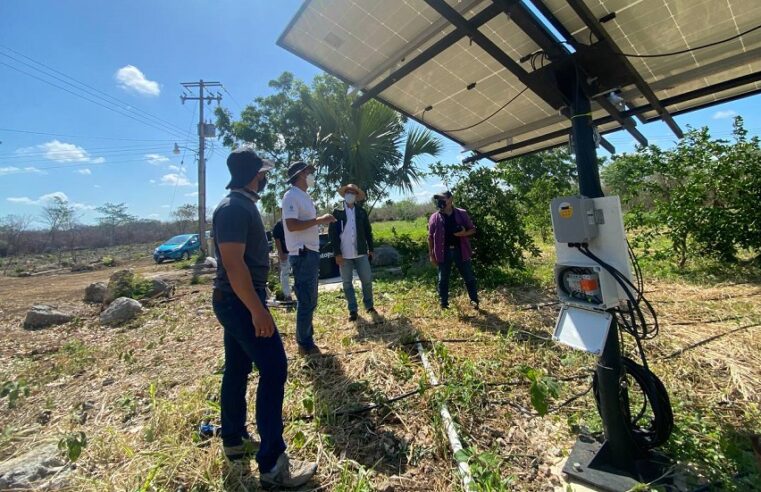 El CICY desarrolla tecnologías para que los milperos yucatecos produzcan más
