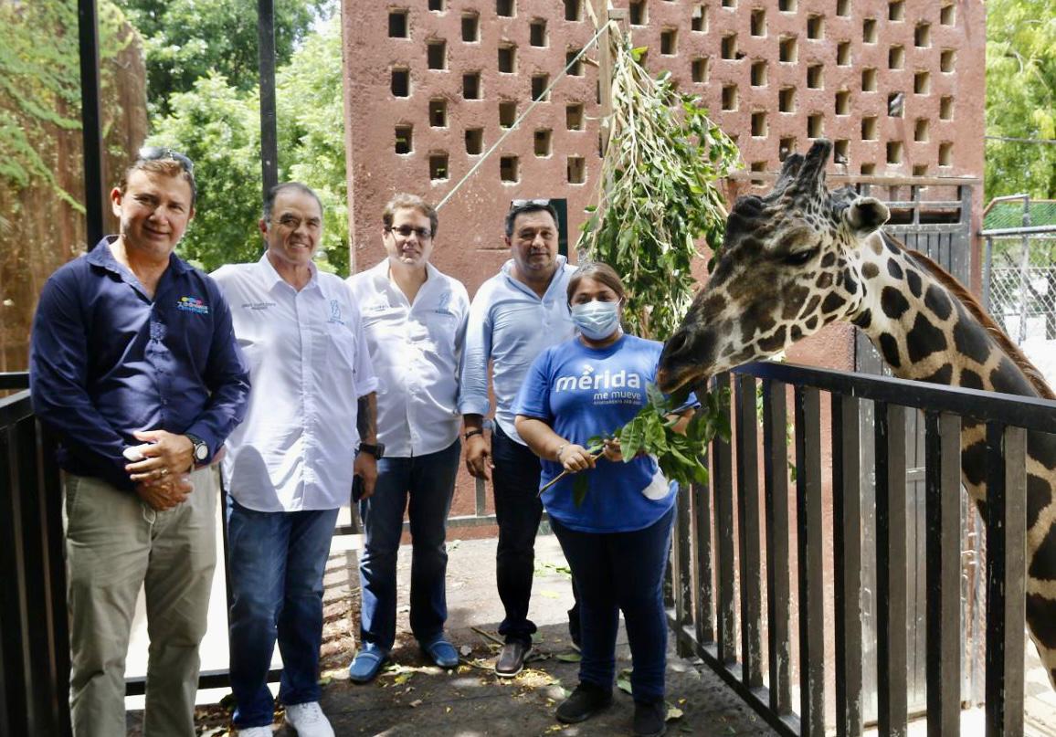 Promueven el bienestar de la fauna en Mérida