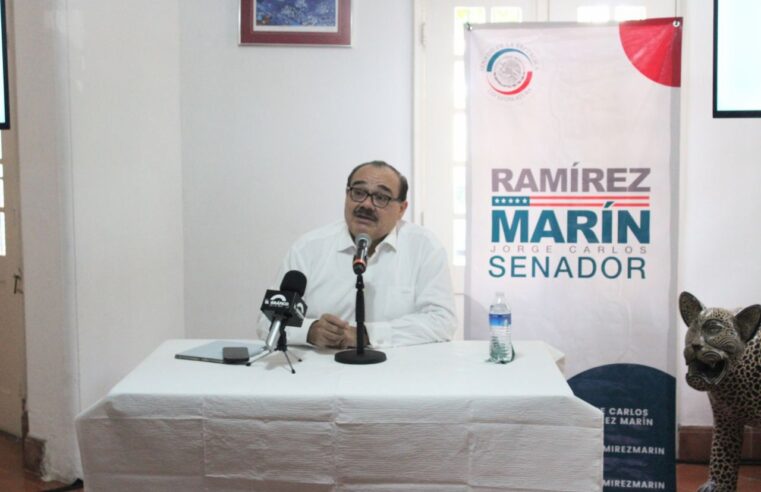 Paneles solares para todos los hogares: Ramírez Marín