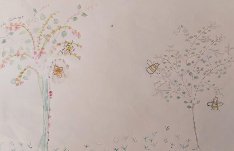 Invitan al Tercer Concurso Estatal de Dibujo Infantil “Las abejas nativas y mi comunidad”