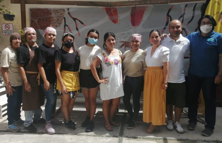 Conoce Crush, el primer bar vegano de Mérida