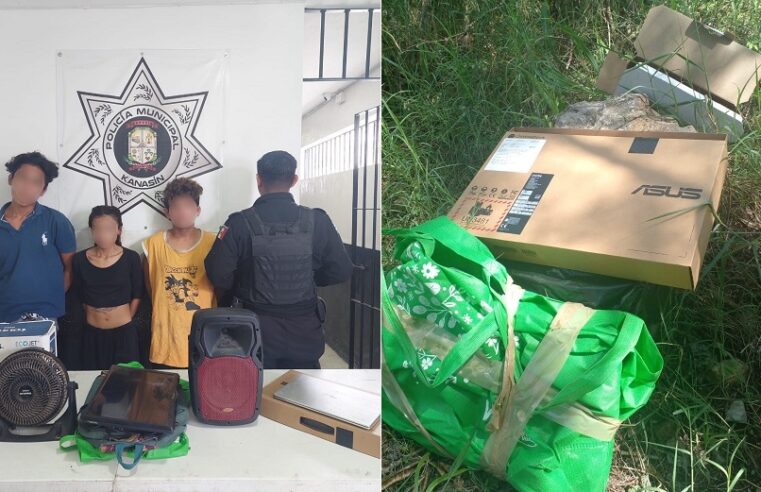 Llega a su casa y encuentra a tres ratas saqueando sus cosas