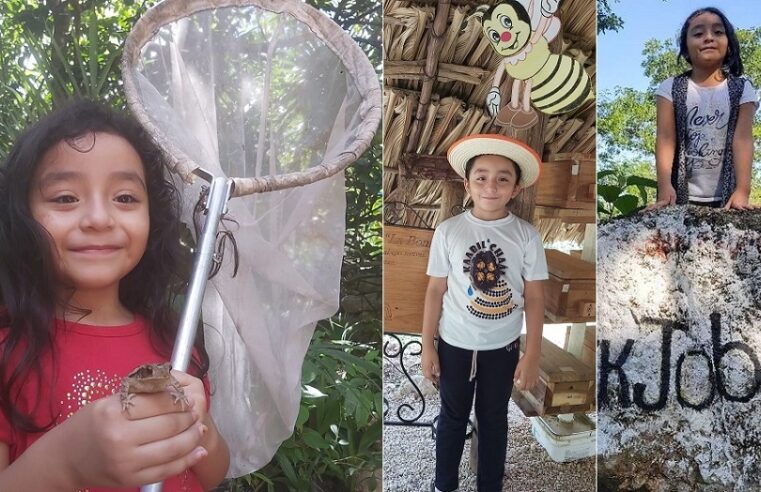 Princesa Melipona: en Yucatán se inculca el amor a la apicultura en edades tempranas