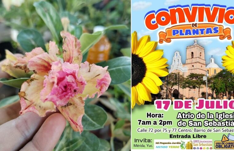 Invitan al Convivio de Plantas en el barrio de San Sebastián, el domingo 17 de julio